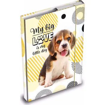 desky na sešit desky na sešity box A5 Pes