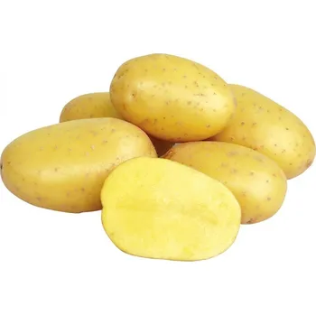 Sazenice Sadba brambor ANTONIA (balení 5kg)