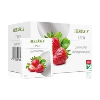 Sušené ovoce Herbária Ovocný čaj s jahodovou příchutí (20ks)