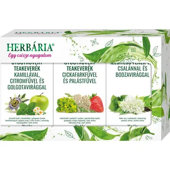 Sušené ovoce Herbária Triopack Ovocně-bylinná čajová směs porcovaný (60ks)