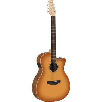 Kytara Applause E – akustická kytaraHoney Burst AEO-69-HB 196899
