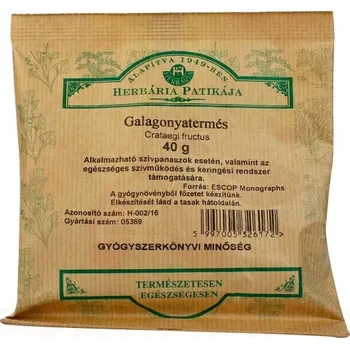 Bylinná léčivá mast Herbária čaj Hloh obecný - plod (40g)