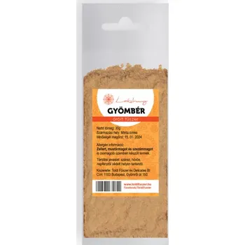 Koření Lakshmi Zázvor sušený mletý (30g)