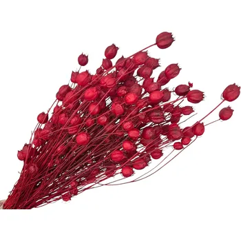 umělá květina FLOWERIO Sušené květy Černuška - Nigella damascena 100g - červená