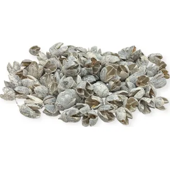 Sušené ovoce FLOWERIO Sušené plody Bakuli 160g - vintage bílé