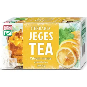 Sušené ovoce Herbária Ledový čaj citron a máta (20ks)