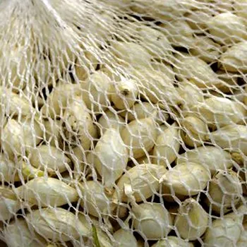 Cibulovina SAZEČKA BÍLÁ ´SNOWBALL´ 250g