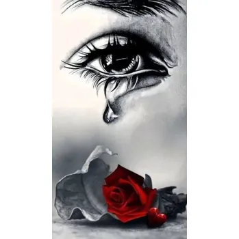 Diamantové malování diamantové malování pláč nad růží 30 × 40 cm