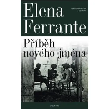 Beletrie pro dospělé Příběh nového jména (Elena Ferrante)(Brožovaná)
