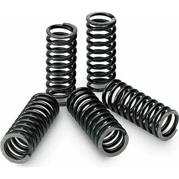 TECNIUM Sada spojkových pružin Box of 6 KTM SX65 18455