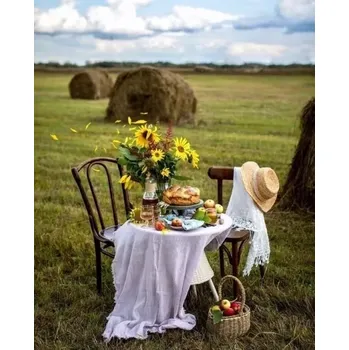 Diamantové malování diamantové malování snídaně na poli 30 × 40 cm