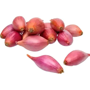 Cibulovina SAZEČKA RŮŽOVÁ ´ROSANNA´ 250g