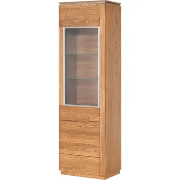 Knihovna Prosklená vitrína do obývacího pokoje Montenegro - Szynaka Meble Dub Rustical 58x198 cm