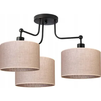 Stropní Svítidlo Ledigo černý