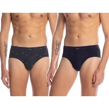 Slipy Pánské slipy LAMA M-1015 BAVLNA 2 KUSY M