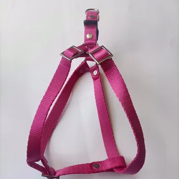 Postroj pro psa Postroj pro psa 50 cm popruh