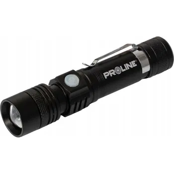 Svítilna Klasická svítilna Proline 300 lm LED