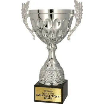 Obraz Krásný Stříbrný Kovový Pohár na Turnaj 21 cm + GRAVÍROVÁNÍ DÁREK