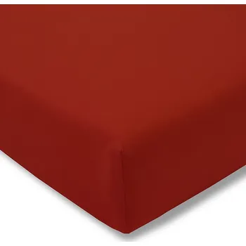 Prostěradlo Prostěradlo s gumou Estella jersey 200 x 200 cm