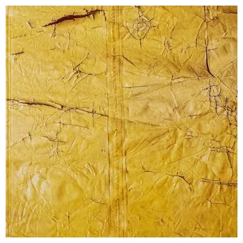 Umění David Hammons - Goode Bryant, Linda