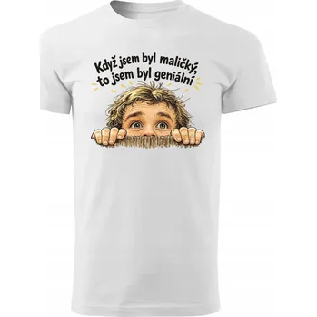 Pánská móda Pánské tričko - Filmové hlášky - Když jsem byl maličký Velikost: S