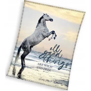 deka Deka 150x200 Mikrovlákno Přehoz Koně S Koněmi