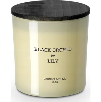 Svíčka Tradiční sójová svíčka Cereria Mollá Cereria Molla 1 ks