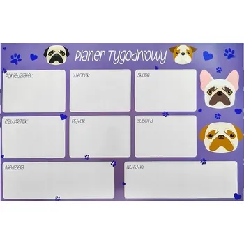 ORGANIZÉR PRO DĚTI NOTES MAGNETICKÝ ZELENÝ 100 KARET ODOLNÉ KARTY