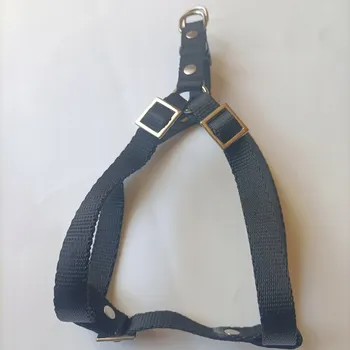 Postroj pro psa Postroj pro psy Mar-Zoo 40 x 40 cm