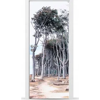 Fototapeta Fototapeta NAKLEJKA samolepka na dveře, skříně, nábytek #SD159