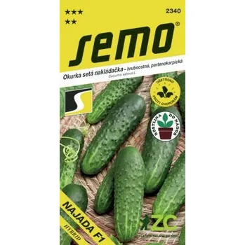 Semeno Okurka nakládačka - Najada F1 partenokarpická