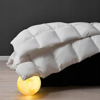 přikrývka Péřová Přikrývka Letní 155x220 cm Lehká z husího prachového peří a peří Bílá