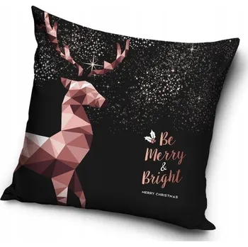 Povlak na polštářek Dekorační povlak na polštář Carbotex 40 x 40 cm