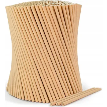 Papírová Brčka EcoServe 100 ks