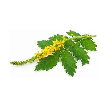 Koření Horňácká farma BIO Sušený řepíček lékařský, 8 g