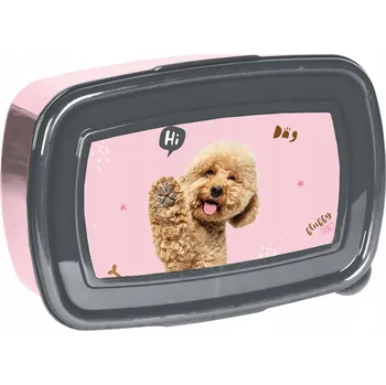 Svačinový box Plastová Svačinový Box svačinový box Paso , krabička na potraviny, 500 ml