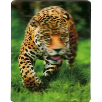 Dekorativní magnet Impap 3D magnetka se zvířaty - 65 x 82 mm Varianta: V2