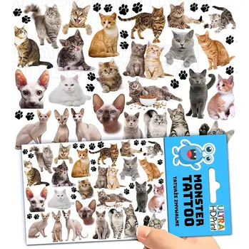 Odstranitelné tetování Filmová a herní nálepka na tetování Dětské vodní tetování Omyvatelné k narozeninám Dárek Dočasný dárek pro děti Originální opakovaně použitelné Spousta Vzorů