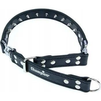 Obojek pro psa Kožený obojek pro psa ostnatý obojek Champion vel. M