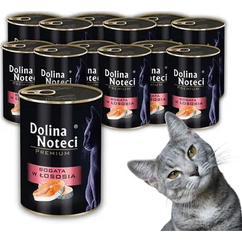 Krmivo pro kočku Dolina Noteci Premium mokré Krmivo pro kočky s lososem 12 x 400 g