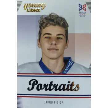 Sběratelská karetní hra Jakub Fibigr