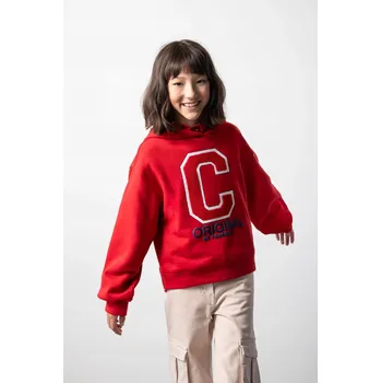 Chlapecká mikina Dětská mikina bavlna Coccodrillo , velikost 164