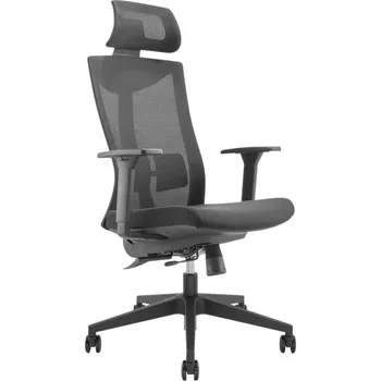 Ergonomická kancelářská židle s kolečky a bederní opěrkou, otočná židle, výškově nastavitelná, funkce naklápění opěradla max. nosnost 150 kg