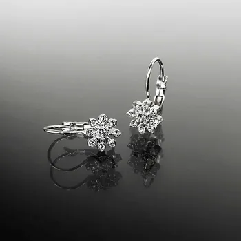 Náušnice Exkluzivní ocelové náušnice zabalené v dárkové krabičce č. 1195