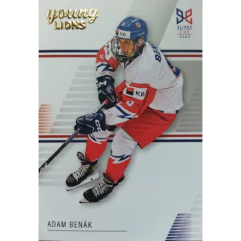 Sběratelská karetní hra Adam Benák