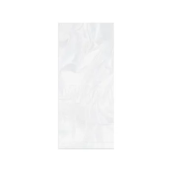 Sáček na potraviny Sáček plochý (LDPE) transparentní 25 x 40 cm [100 ks],rychlé dodání