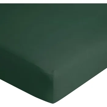 Prostěradlo Prostěradlo s gumou Eurofirany jersey 120 x 200 cm