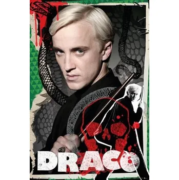 Plakát Plakát Harry Potter - Draco Malfoy