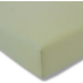Prostěradlo Prostěradlo 100x200 cm jersey stretch Estella barva lipová zelená s gumou