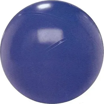 Gymnastický míč Gymnastický míč SEDCO 75 cm EXTRA FITBALL - Fialový